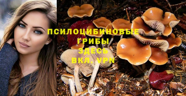 дурь Осташков